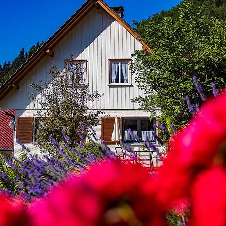 オッペナウHaus Niedermaettleアパートメント エクステリア 写真