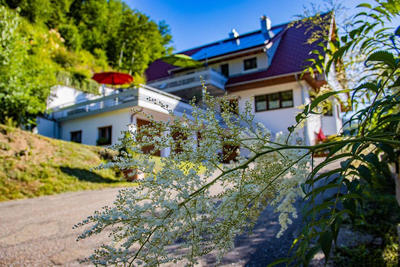 オッペナウHaus Niedermaettleアパートメント エクステリア 写真